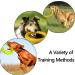 NA 2pcs Dog Toys Ring Outdoor Fitness Flying Discs Water Floating Dog Interactive Training Ring for Small Dog and Medium Dog - Buy Online on GoSupps.com
