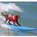 Dog Life Jacket with Reflective Stripes Adjustable High with Strong Rescue Handle Dog Life Vest for Swimming and Boating (Red M (Chest Girth: 20.9"-25.6")) M (Chest Girth: 20.9"-25.6") Red - Buy Online on GoSupps.com