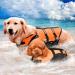 Wallpage Dog Life Jacket - Fainfun Adjustable Buoyancy Vest for Small & Large Dogs - Ripstop Reflective Swimming Rescue Handle (M Orange) - Buy Online on GoSupps.com