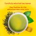 Lipton Green Tea for a refreshing and uplifting sensation 100% Rainforest Alliance Certified 200 g 100 tea bags Pure Green Tea 100 Count (Pack of 1) - Buy Online on GoSupps.com