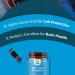 Alpha Lipoic Acid Supplement with Acetyl L-Carnitine - Boost Memory and Energy Levels - 60 Capsules - Buy Online on GoSupps.com