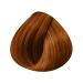KIN Cosmetics Permanent Ammonia-Free Hair Color with 5 Oils 8.44: Intense Light Copper Blonde