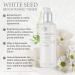 The Face Shop Whiteseed Brightening Toner - Hydrating Skin Brightening Treatment | Moisturizing Botanical Skincare for Improved Texture & Clarity - 5.4 Fl Oz - Buy Online on GoSupps.com