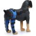 Jauarta Dog Hind Leg Brace Breathable Elastic Shockproof Dog Leg Protector for Pets and Dogs (S) - Buy Online on GoSupps.com