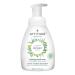 ATTITUDE Foaming Hand Soap  Plant and Mineral-Based Ingredients  Vegan and Cruelty-free Personal Care Products  Olive Leaves  10 Fl Oz