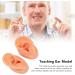 Silicone Human Artificial Ear Model for Hearing Aids and Earphones Display - Buy Online on GoSupps.com