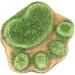Cat Snacks Treats - Oral Cleaning Cat Snacks | Dry Cat Treats Healthy Cat Treats Kitten Treats Cat Food Treats Natural Training Biscuits Treats - Buy Online on GoSupps.com