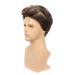 Swiking Men Short Brown Mix Blonde Wig - Layered Halloween Cosplay Party Hair Costume for Adults - Buy Online on GoSupps.com