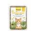 GimCat Hydro Grass - Fresh cat grass harvested from certified open fields ready in only 5 to 8 days - 1 punnet (1 x 150 g)