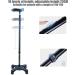 Lightweight Adjustable Quad Cane Blue Walking Stick with The LED Light Balancing Mobility Aid for Men Women Seniors Comfortable Handle Star of Light - Buy Online on GoSupps.com