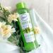 shampoo de Aloe Vera y Acondicionador Argan anyeluz (2 pack) Shampoo anyeluz Fortalece y da vitalidad a tu cabello con el champ de Aloe Vera de Anyeluz - Buy Online on GoSupps.com