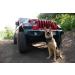 Meta Title: Jeep Backroads Dog Bandana Sleeve on Nylon Webbing Collar - Forest | Large Size - Buy Online on GoSupps.com