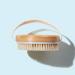 Mio Dry Body Brush 5.29 Oz - Exfoliating Body Scrub for Smooth Skin - Buy Online on GoSupps.com