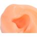 Buy Silicone Ear Model - Soft Simulation Hearing Tool for Display | Fleshcolor with Black Stand (Right Ear) - International Shipping Available - Buy Online on GoSupps.com