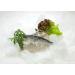 Minerva Portugal Sardines in Olive Oil 360g (3 cans x 120g) - Premium Quality - Buy Online on GoSupps.com