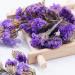 LWXLJMJZC Forget-Me-Not Flower/Don't Forget Me Flower Tea Dried Natural Myosotis Sylvatica Herbal Tea 1.41oz/40g 40g Forget-me-not Flowers Tea - Buy Online on GoSupps.com