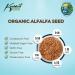 Koalakoi Organic Certified Alfalfa Seed (100g - 4.5kg) Easy to Sprout Super Nutritious Highly digestible Fibre Alfalfa | Premium Quality Non-GMO 100% Natural no Additives or Preservatives (100g) - Buy Online on GoSupps.com