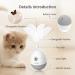 PETGEEK Laser Pointer Cat Toy - Interactive Kitten Toy with Bird Squeaky - Automatic Rotating Cat Laser Pointer - Indoor Cat Toys Gray - Buy Online on GoSupps.com