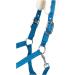 RL24 Halter with Plush Padding - BASICLINE in 6 Colors for Shetty Pony Thoroughbred Warmblood | Turquoise Shetty - Buy Online on GoSupps.com