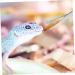 Happyyami Reptile Feeding Clip Feeding Tongs Snake Tongs Lizard Stuff Silver Stainless Steel - Buy Online on GoSupps.com