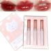 Sitovely 3Pcs Mirror Water Lip Gloss Glass Lipstick Set  Moisturizing Long Lasting Lip Glaze  Hydrated & Fuller-looking Lips  High Pigmented Lip Makeup Gift Sets for Girls and Women (B)