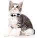 Tagme Cat Collar with Name & Phone Number - Safe Black Kitten Neck Band with Bell - 1 Pack - Buy Online on GoSupps.com
