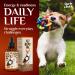 Charlie Buddy Hemp Oil for Dogs & Cats - Hip & Joint Support, Skin Health, Anxiety Relief, Pain Management - Omega 3, 6, 9 with Vitamins B, C, E - Buy Online on GoSupps.com