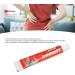 Lumbar Pain Relief Ointment 20g - Portable Lower Back Care Cream for Joint and Muscle Pain - Buy Online on GoSupps.com