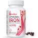 Liposomal Iron Supplement 42 mg (as Ferrous Sulfate) with Folic Acid and Vitamin B12 Increase Iron Levels for Adults Superior Absorbed and Stomach Friendly (Pack of 1) 60 count (Pack of 1)