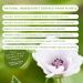 Certified Organic Kids Allergy Relief - Non-GMO, Natural 10ml Drops for Sneezing, Runny Nose, Itchy Eyes | Forces of Nature - Buy Online on GoSupps.com