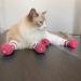 Buy 4-Piece Silicone Anti-Scratch Cat Shoes & Nail Gloves - Pink Perfect Claw Covers for Cats! - Buy Online on GoSupps.com