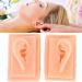 Acupuncture Ear Model for Practice | 2-Piece Set | Smooth Texture | Ideal for Students - Buy Online on GoSupps.com