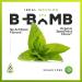 B-Bomb Vitamin B12 + B Complex Liquid Spray: Methylcobalamin with Adenosylcobalamin: Energy & Mood Support, Sugar-Free, Vegan, Organic Spearmint Flavor - Buy Online on GoSupps.com