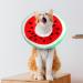Luckious Adjustable Kitten Cone Collar - Adorable Watermelon Cat Recovery Collar - Soft Cat Cones for Small Cats & Kittens Elizabethan Collars for Kitten Puppy After Surgery (1-3 Pounds) - Buy Online on GoSupps.com