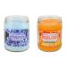 Smoke Odor Exterminator 13 Oz Jar Candle Blue Serenity with Orange Lemon Splash 13 Oz