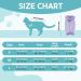 Avont Katzenbody: Recovery Suit for Cats - Post-Op Castration & Spay Leak Protection for Abdominal Wounds - Medium Lilac - Buy Online on GoSupps.com