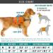 PETAMI Hundred Socks for Medium Large Dogs | Dog Saddle Bag Vest for Travel (Blue Medium) - Buy Online on GoSupps.com