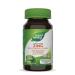 Nature's Way Zinc with Echinacea & Vitamin C / 60 Lozenges Beige 60 count (Pack of 1)