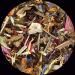  Lerbs & Hagedorn Reiki Infusion 1 kg - Buy Online on GoSupps.com