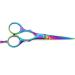 Haryali London Professional 5.5 Hairdressing Barber Scissors - Hair Cutting Salon Shears with Razor Sharp Edges - Gift Box Included - Buy Online on GoSupps.com