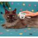 Electronic Flea Comb Zapper Epilady - Electric Flea Killer Safe for Cats Dogs Pets Animals Detects Controls Destroys Kills Fleas No Toxins or Chemicals Anti-Flea Comb Battery Operated EP40120UK - Buy Online on GoSupps.com