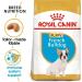 Royal Canin French Bulldog Junior 10.0 kg - Buy Online on GoSupps.com