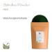Buy Organic Spirulina Powder - Premium Algae Supplement 200g (1 Pack) - Boost Energy & Wellness - Buy Online on GoSupps.com