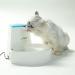isYoung Pet Fountain  84oz/2.5L Automatic Cat Fountain Dog Water Dispenser for Cats  Dogs - Buy Online on GoSupps.com