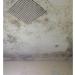 Mould & Mildew Remover Spray - Removes Mouldy Stains From Walls Tiles Silicone Seals & More - 500ml - Buy Online on GoSupps.com