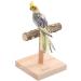 QBLEEV Bird Training Stand Perch for Small to Medium Parrots - Natural Wood Play Gym Toy for Parakeets, Cockatiels, Conures, Lovebirds, Finch - Buy Online on GoSupps.com