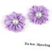 Alipis 1 20pcs Head Band Listones para Manualidades Ribbon Cloth Flower Headband The Flowers Clothes Flower Purple Size 1 - Buy Online on GoSupps.com