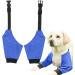 Dog Elbow Brace Protector - 1 Pair Dog Elbow Brace Front Leg Stain-Resistant Pet Recovery Knee Pad for Medium Dog Breathable Wear-Resistant Blue M - Buy Online on GoSupps.com