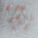 JUSTOTRY 24 Peach Pink Coffin Press-On Nails - Glossy Ballerina Artificial Nails for Stunning Nail Art | French Fingernails for Women - Buy Online on GoSupps.com