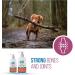 Revive Active Joint Care Liquid for Dogs and Cats 250ml Relieves Inflammation Promotes Optimal Growth and Development Joint Mobility and Good Health. Liquid 250ml - Buy Online on GoSupps.com